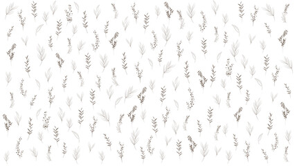 poaceae pattern or seamless of minimal leaves wallpaper pattern on background or wrapping paper 03