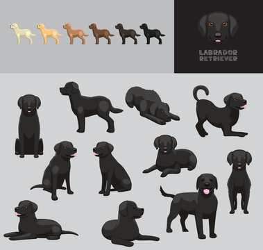 Dog Labrador Retriever Black Coat Cartoon Vector Illustration Color Variation Set