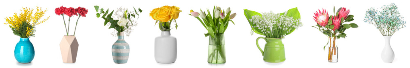 Collection of aromatic fresh flowers in stylish vases on white background