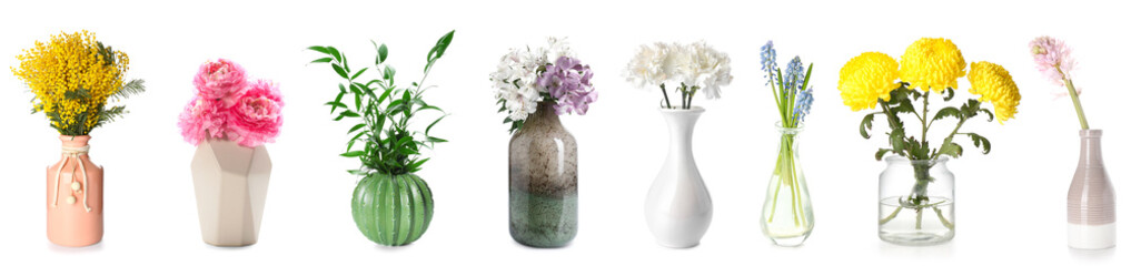 Collection of beautiful fresh flowers in stylish vases on white background