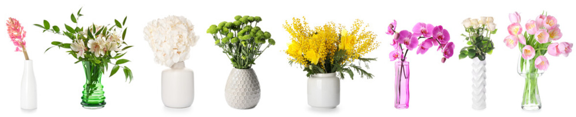 Set of beautiful fresh flowers in stylish vases on white background