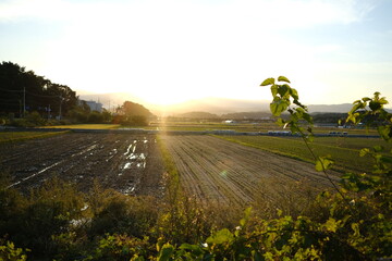 A country view. Nature Farm and agriculture