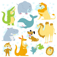 Funny animals brushing teeth flat icons set. Wild animals daily routine for mouth hygiene. Monkey, crocodile