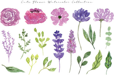 a set of cute spring wild flower and leaf watercolor	
