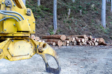 選別された木材と林業用グラップル