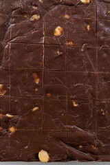 Chocolate macadamia fudge
