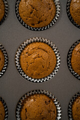 Gingerbread cupcakes