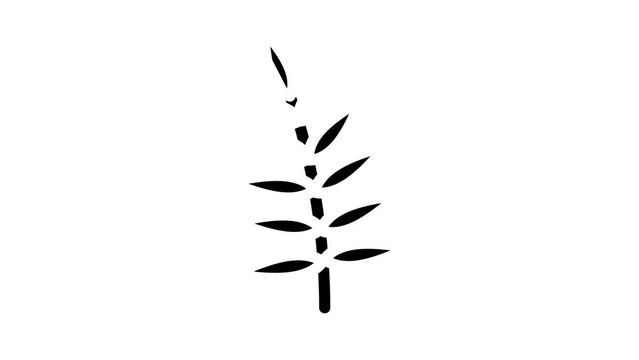 chamaedorea tropical leaf glyph icon animation