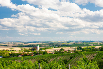 Unterretzbach with vineyards, Lower Austria, Austria