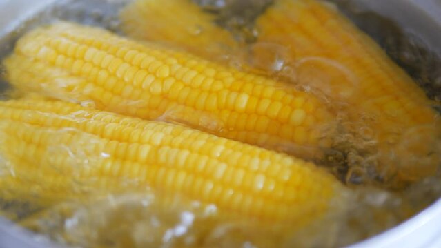 close-up boiled corn in a pot
