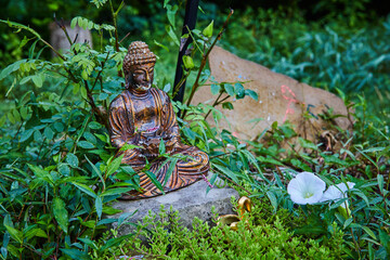Temple gardens with small statue of Buddha