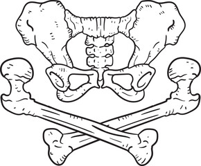 female femur and pelvis pirate style crossbones.