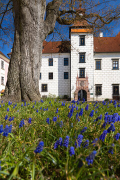 Trebon castle and town, Southern Bohemia, Czech Republic