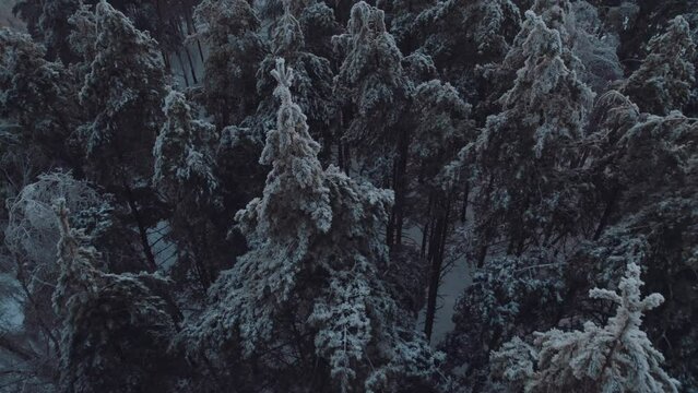 A country hotel in a winter forest, aerial photography of a hotel in a winter landscape