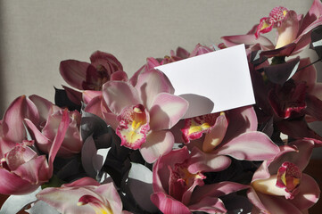 White business card in a bouquet of pink orchids close-up. Mocap.