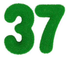 grass number 37 green with generative AI