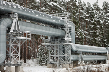 pipeline,pictured pipeline in winter against the background of a snow-covered forest and gray sky