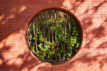 Brick wall with circle opening blocked by abstract steel bars and filled with greenery in center straight on