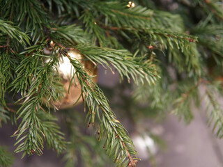 Close up of Christmas ball on evergreen tree copy space