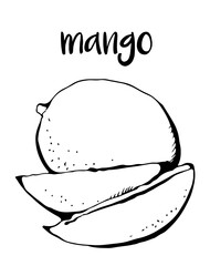 Mango isolated on white background, vector illustration