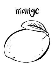 Mango fruit isolated on white background, vector