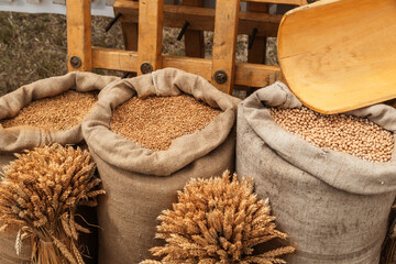 Various Grains in Bulk Sacks Farm Produce