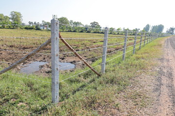 Fototapeta na wymiar Concrete pillars with barbed wire fence. Newly built outdoor barbed wire fence For preventing invasion and blocking the boundaries of mixed farming farms with copy space with selected focus points.