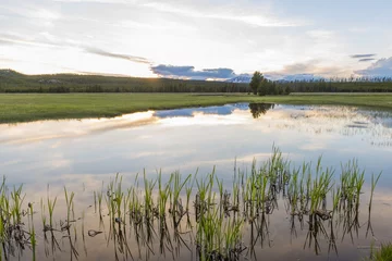 Foto auf Glas Sunset and Yellowstone © Fyle
