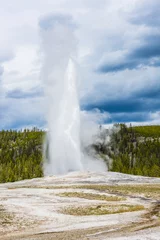 Rolgordijnen Old Faithful Geyser in Yellowstone National Park © Fyle