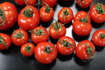 畑で採れたて新鮮トマトが並ぶ