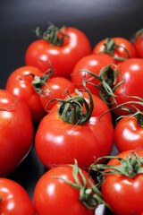 畑で採れたて新鮮トマトが並ぶ