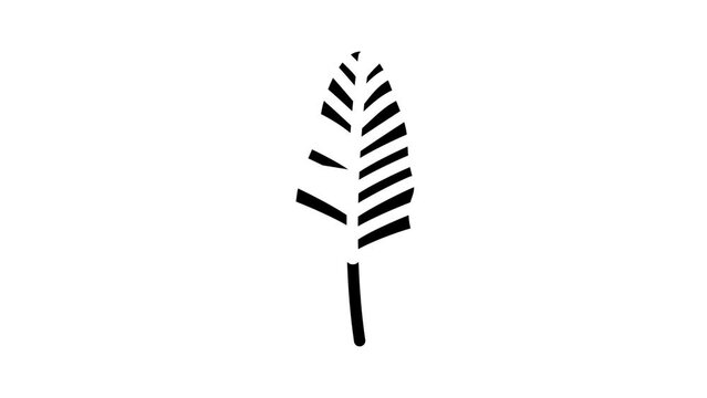 areca palm tropical leaf glyph icon animation