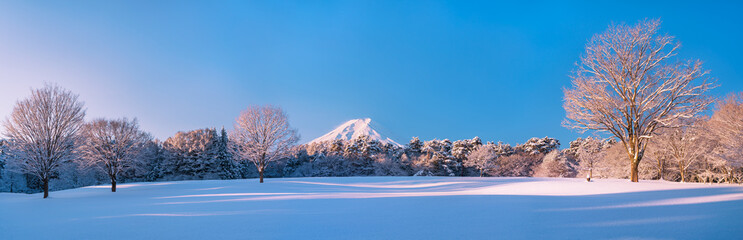 冠雪の森より富士山を望む