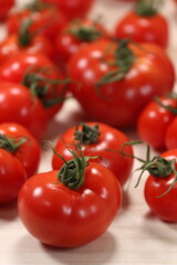 畑で採れたて新鮮トマトが並ぶ