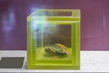Close-up of uranium ore stored in a radiation-proof glass container