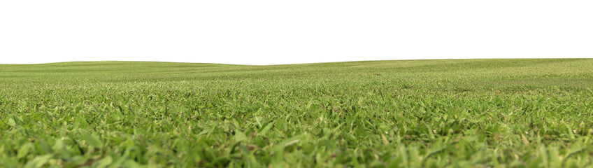 Fototapeta na wymiar Green meadow field panorama transparent
