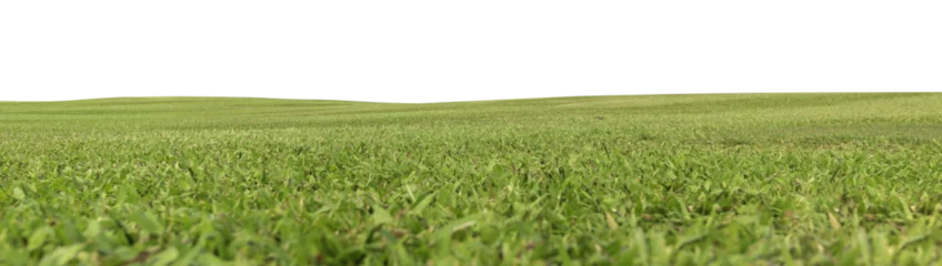 Keuken foto achterwand Weide Green meadow field panorama transparent