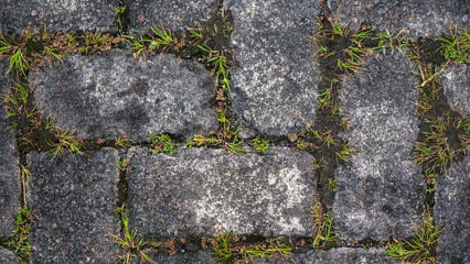 paving block texture with weeds in the gaps as background