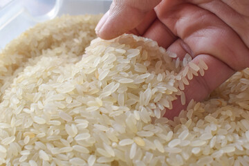 Uncooked rice in hand.  Parboiled rice in a plastic box. 