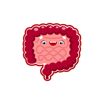 Cartoon Gut Human Body Organ Character. Vector Gastrointestinal System Anatomical Personage, Happy Intestine With Healthy Flora And Cute Smiling Face