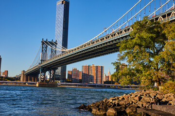 Fototapeta premium Rocky coast and tree with New York City skyline framing the Manhattan Bridge from Brooklyn