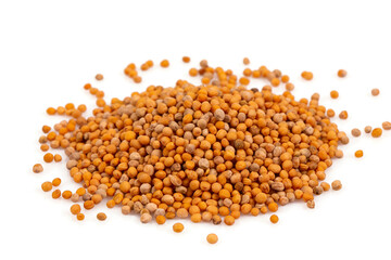 mustard isolated on white background