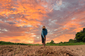 Workers in agriculture, Asian agriculture prepares land for planting