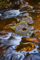 Rocks in middle of creek with water raging around and leaves covering