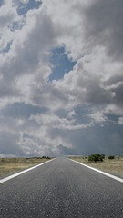 Asphalt road with green grass