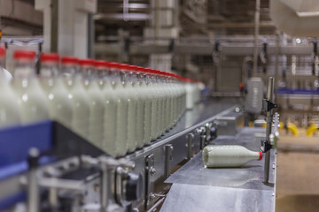 Bottling line in a milk factory.