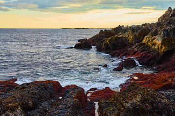 Ocean waves crashing on Maine coast in low tide with golden light