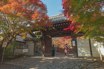 京都 龍安寺 門前の秋景色