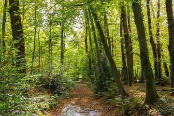 Estate and park Nienoord in Leek municipality Westerkwartier Groningen province in The Netherlands