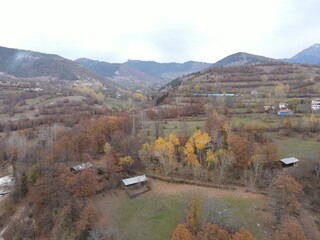 A colorful tree lined road through a rural area on an autumn day.şavşat.artvin.turkey